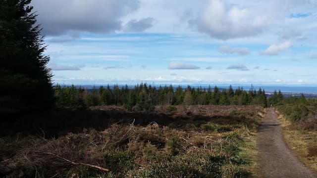 Whiteash Hill Wood (Speymouth Forest) — Conifer plantation in Near Rothes, photo 1 of 2