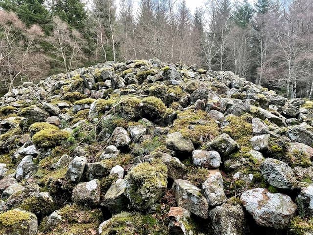 Arntilly Wood — Woodland in Near Banchory, photo 1 of 2