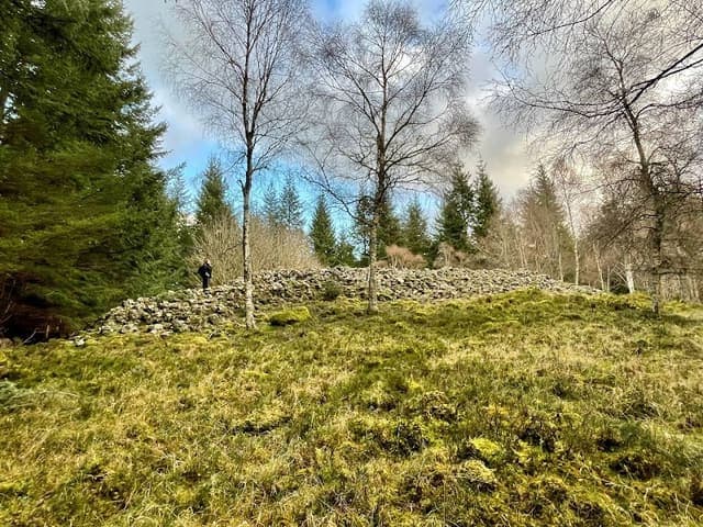 Arntilly Wood — Woodland in Near Banchory, photo 2 of 2