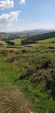 Brighstone Forest — Mixed woodland in Near Lyndhurst, photo 1 of 2