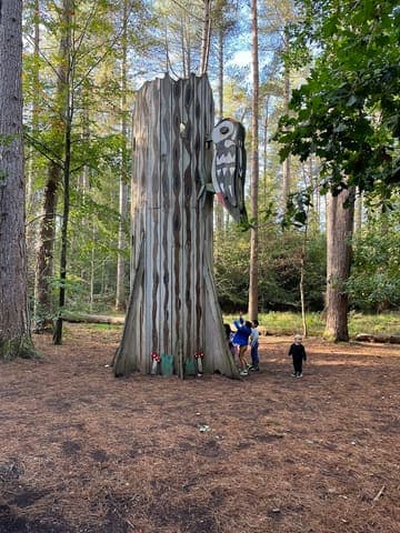 Alice Holt Forest — Woodland in Surrey area, photo 2 of 2