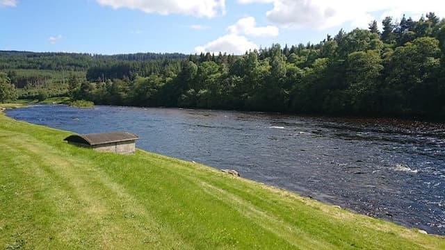Blackhall Forest — Conifer plantation in Near Banchory, photo 1 of 2