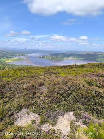 Struie Wood — Woodland in Near Alness, photo 1 of 2