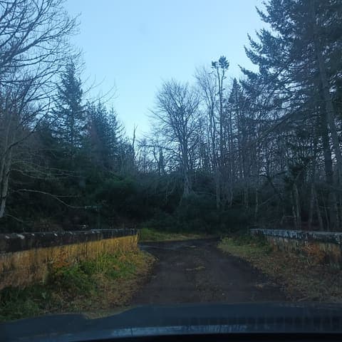 Altyre Woods — Woodland in Near Forres, photo 1 of 2