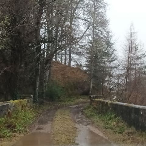 Altyre Woods — Woodland in Near Forres, photo 2 of 2